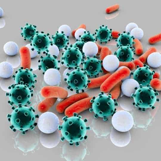 Bacteria and Viruses can be found in water