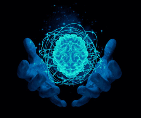 The brain, and why drinking water is important