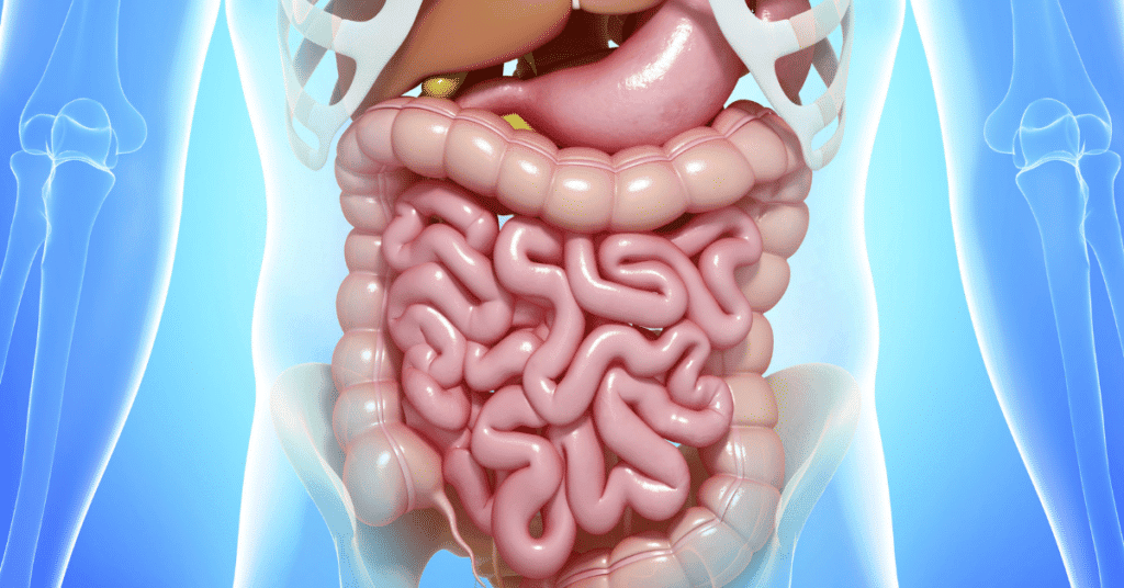Fluoride in tap water and complete home filtration education image for Jila Water